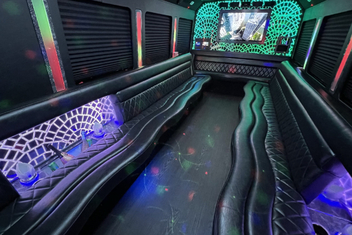 Lynn Limo Bus Interior